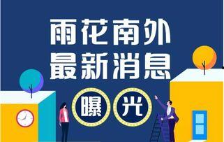 雨花房产爆料最新消息,揭秘区域热盘动态与价格走势
